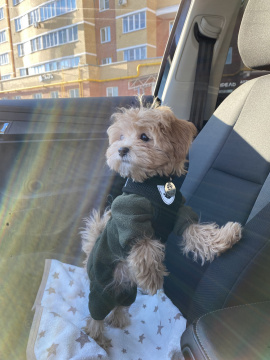 Радуемся весенним лучам