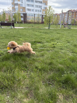 Встретил Дэнни